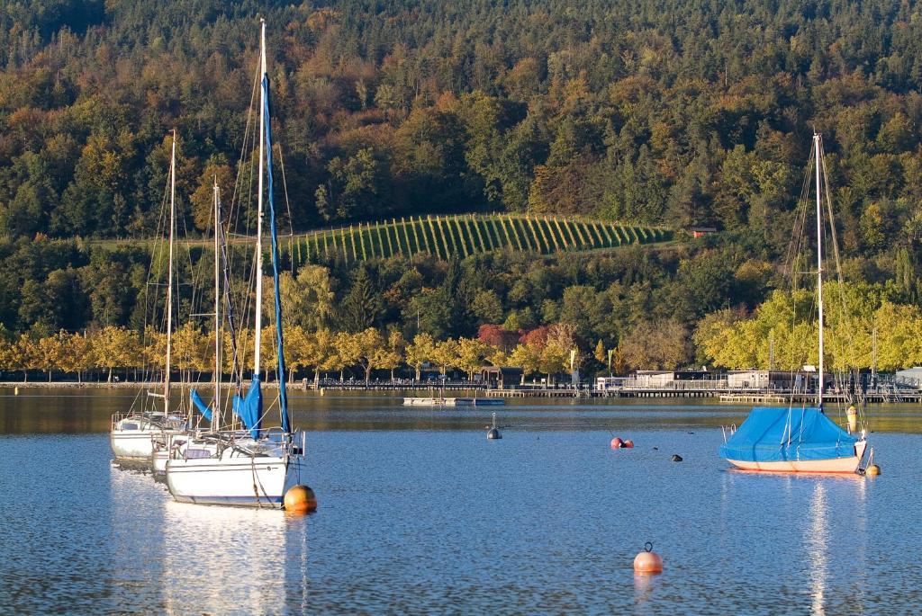 Hotel Geyer Klagenfurt am Woerthersee Dış mekan fotoğraf